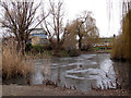 TQ3677 : Frozen pond in Folkestone Gardens by Stephen Craven
