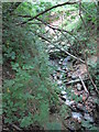 Jarvis Brook in Jarvis Brook Country Park