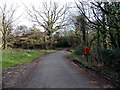 Hanley Lane postbox, Boughspring