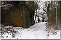 Broken bridge on a disused railway