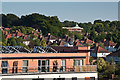 Orpington rooftops