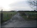 Drive to Keverstone Lodge Stables off Esperley Lane