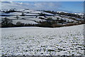 Field above Wigdwr Brook