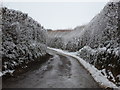 West Coker: a wintry Font Lane