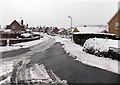 Snowy Birch Hill, Malpas, Newport