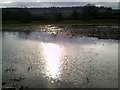 Partly flooded field off the Oxfordshire Way