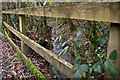 Looking upstream from a bridge near Clockhay Wood