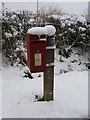 ST5508 : Halstock: postbox № BA22 59 by Chris Downer