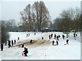 Sledging, Tilgate Park