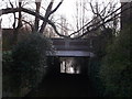 TQ2172 : Roehampton Vale A3 road bridge over the Beverley Brook by David Anstiss
