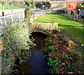 Stream emerges from a culvert, Merrywalks, Stroud