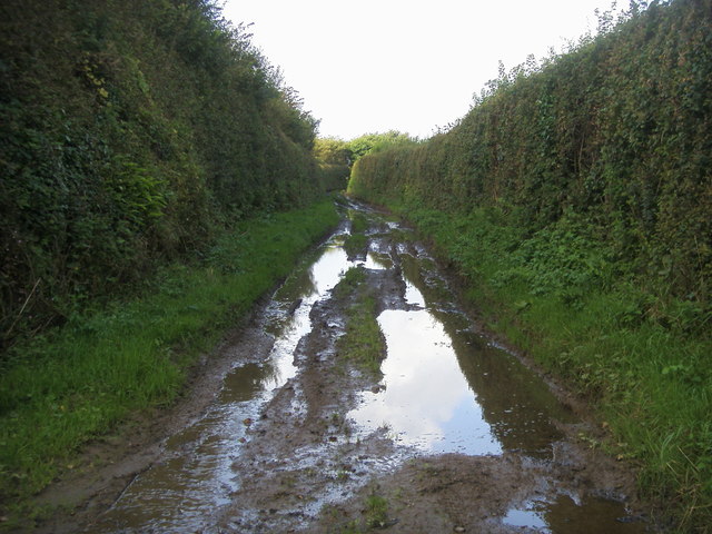 Bridleway heading to A39