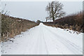 SK9385 : Willingham Road in the snow by J.Hannan-Briggs