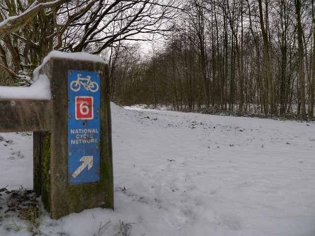 atwood park mountain bike trails