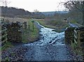 Two paths in Beacon Hill Country Park