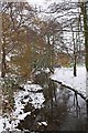 Blake Brook in Springfield Park, looking east, Kidderminster