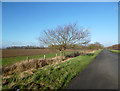 Land near Rofford