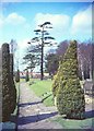 Path at The Grange, Beddington Park, 1967