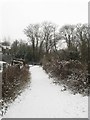 Snakey Lane Railway Bridge