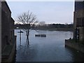 Flooded Thames, Bull