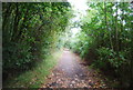 Stour and Orwell Walk, Fagbury Cliff