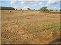 SK7257 : Arable field near Park Spring Farm by Trevor Rickard