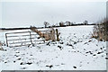 SK8547 : Snowy fields near Dry Doddington by J.Hannan-Briggs