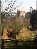 SX8767 : Ruined manor house and church, Kingskerswell by Derek Harper