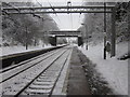 Track in the snow