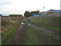 The bridleway from Old Wood