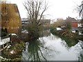 River Colne, Colchester