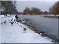 TQ2782 : Feeding the birds on the icy Boating Lake in Regent's Park from Clarence Bridge by Marathon