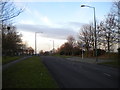 The eastern edge of Chelmsley Wood