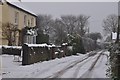 Mid Devon : Country Lane