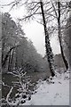 The Long Pond Frozen