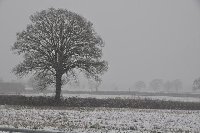 Mid Devon : Snowy Countryside