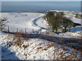 Snowy pasture