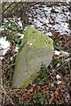 Benchmarked boundary stone beside Steventon Road