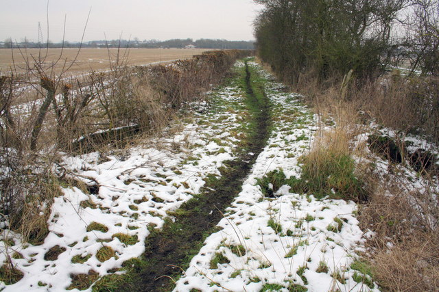Track towards Drayton from Drayton Copse