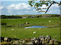 Blind Tarn