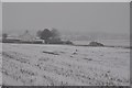 Mid Devon : Snowy Scenery