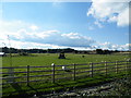 Parkside Farm, Sheffield Road, Hoyland