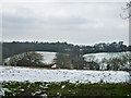 View towards Warbleton