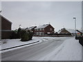 Kendal Way near Hawkshead Green, Hull