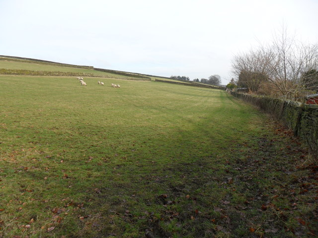 Field path, Holmbridge
