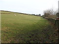 Field path, Holmbridge