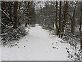 Snowy footpath, Penny Spring Wood, Almondbury