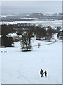 SD4980 : Sledging in the Park above Dallam Tower by Karl and Ali