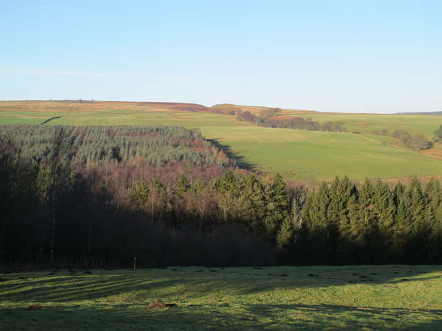 The valley of the River Derwent around Carrick's Haugh