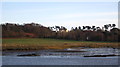 Sutton Hoo across the river